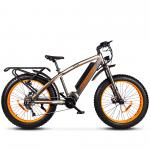 $500 OFF 1000W MID DRIVE EBIKE