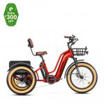 $300 OFF GREATTAN DUAL-BATTERY ELECTRIC ...