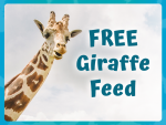 Free Giraffe Feed Included with all