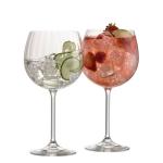 $30 Off Galway Crystal Erne Gin & Tonic