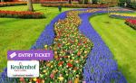 Keukenhof Tickets Met Een Exclusieve Bon...