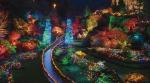 Butchart Gardens Holiday Lights Package ...