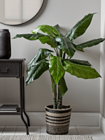 50% Off Faux Potted Banana Plant -