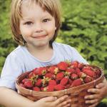 Climbing Strawberries (5 Plants) - Buy 2