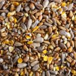 Bestseller Premium Gold Seed Mix - From