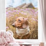 HAPPY WINDOW: 15% auf alle Fensterfolien