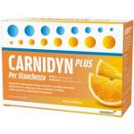 CARNIDYN PLUS 20BUST