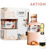 June by G 'Vine Liqueur AKTION Onpack