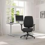 Homeworker Plus Ergonomic Chair - Only