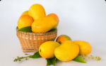 Indian Mangoes 15% Off with  Free