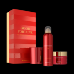 50% discount l Good Fortune gift set