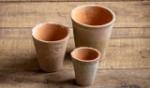 Save 15% on pots, containers & plant