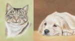 Mothers Day Animal Art Course Bundle