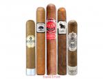 Built For Seasoned Smokers