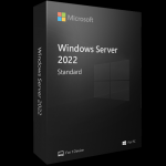 Microsoft Windows Server 2022 Standard -