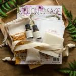 $5 Off Willow And Sage Summer Citrus