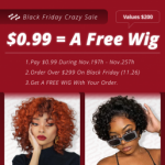 $0.99 Wig Special Black Friday Deal