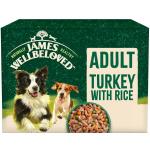 Buy James Wellbeloved Adult Dog Turkey