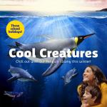 Cool Creatures at SEA LIFE Sydney