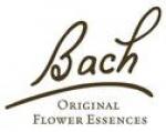 20% on Bach
