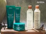 TOP BRAND - Aveda - Hair Care Extra