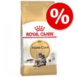 20% TANIEJ! Royal Canin Breed / Kitten,