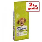 12 2 KG GRATIS! Purina Dog Chow, 12