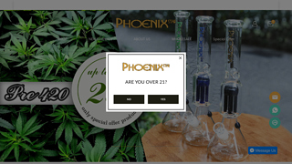phoenixstarglass coupon code